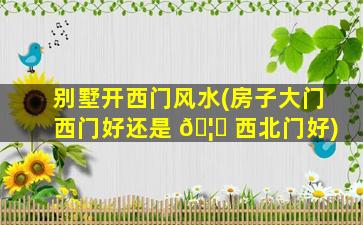 别墅开西门风水(房子大门西门好还是 🦟 西北门好)